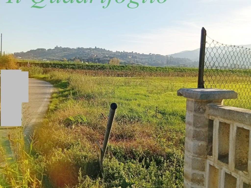 Terreno a Quarrata - Foto 2