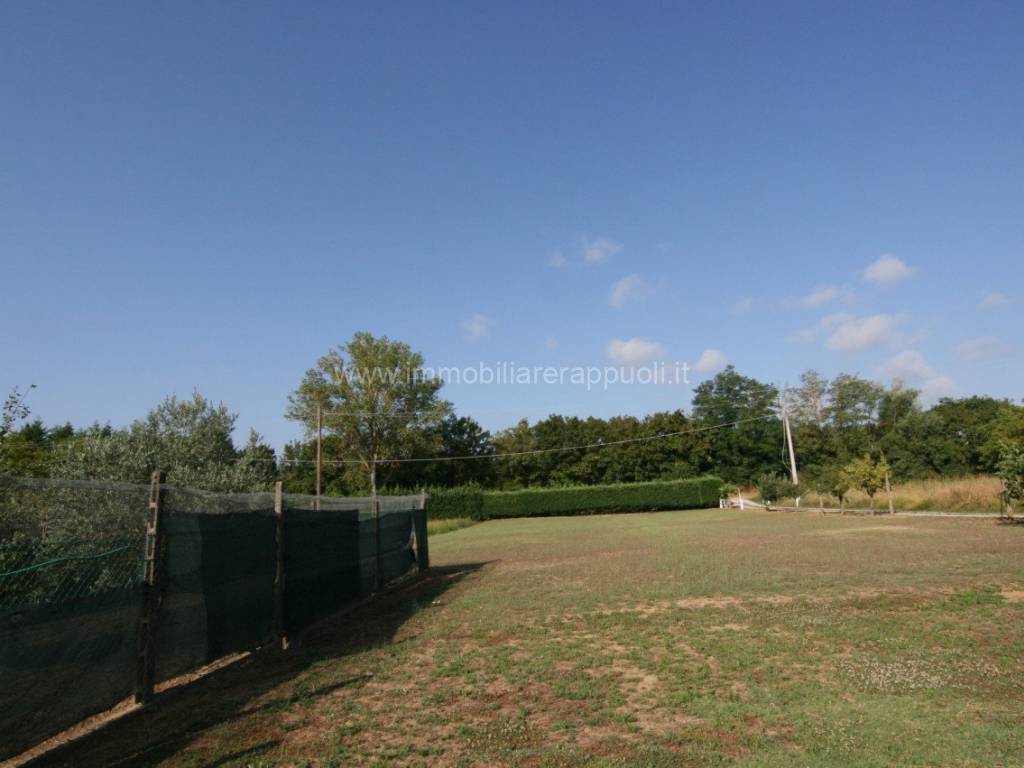 Rustico / casale a Sinalunga - Foto 3