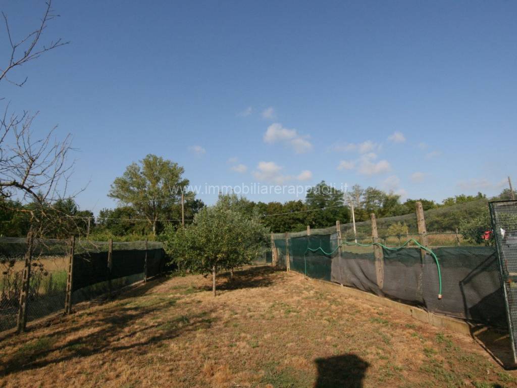 Rustico / casale a Sinalunga - Foto 4