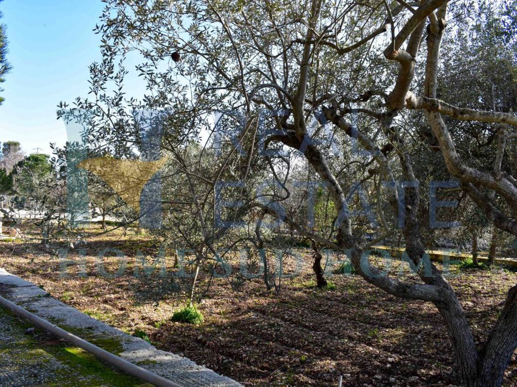 Villa a Noto in Via Tommaso Fazello, 228 - Foto 4