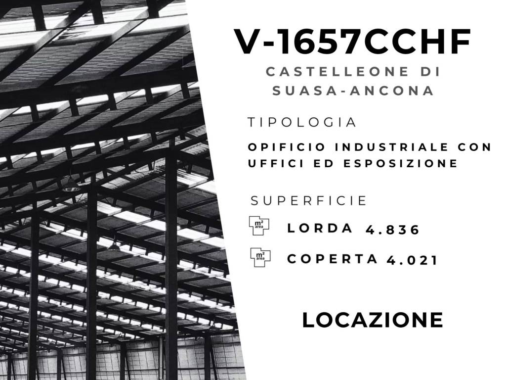 Immobile a Castelleone di suasa - Foto 2