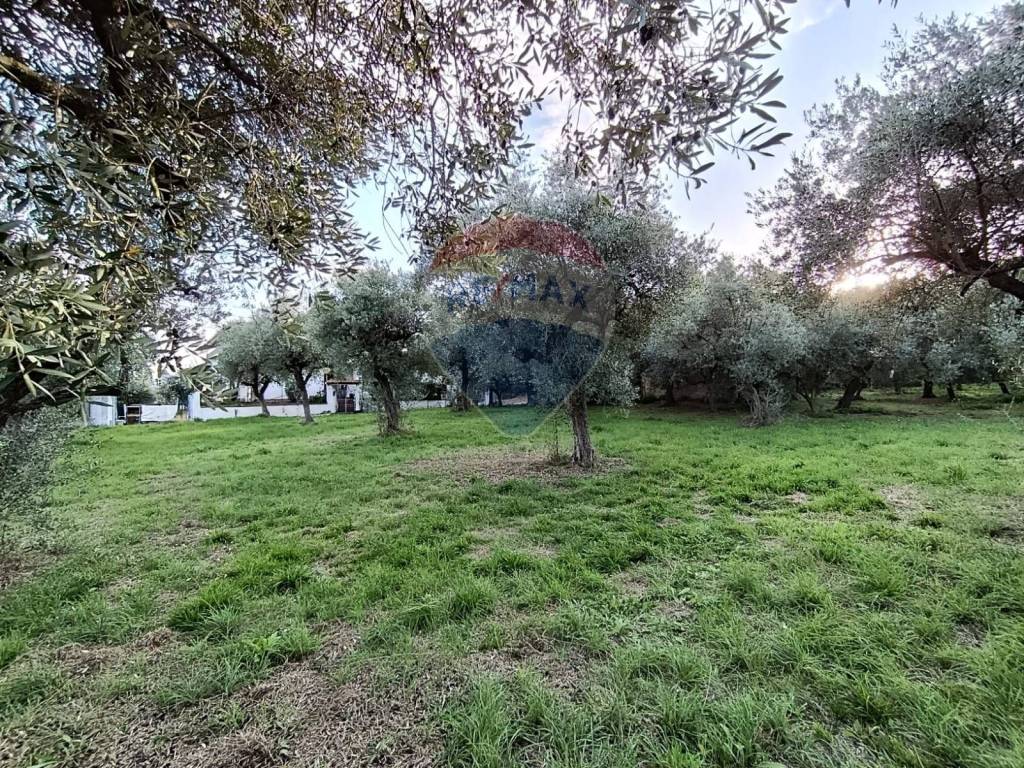 Terreno a Lanciano in Via Bologna - Foto 2