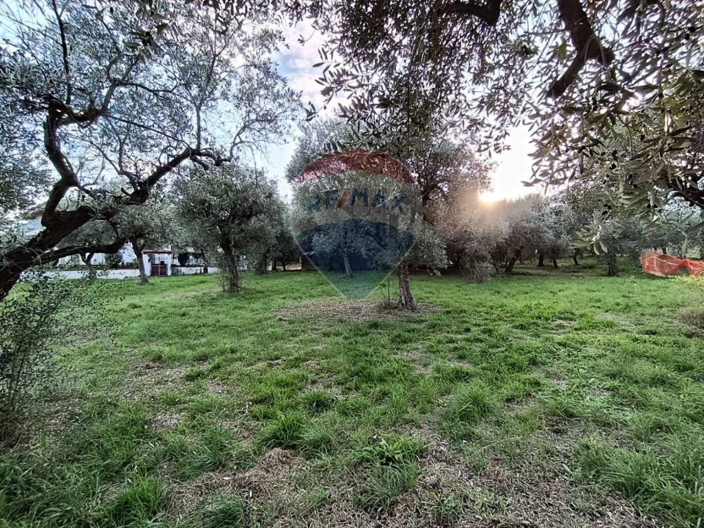 Terreno a Lanciano in Via Bologna - Foto 4