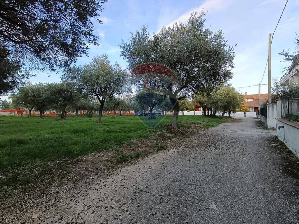 Terreno a Lanciano in Via Bologna - Foto 5