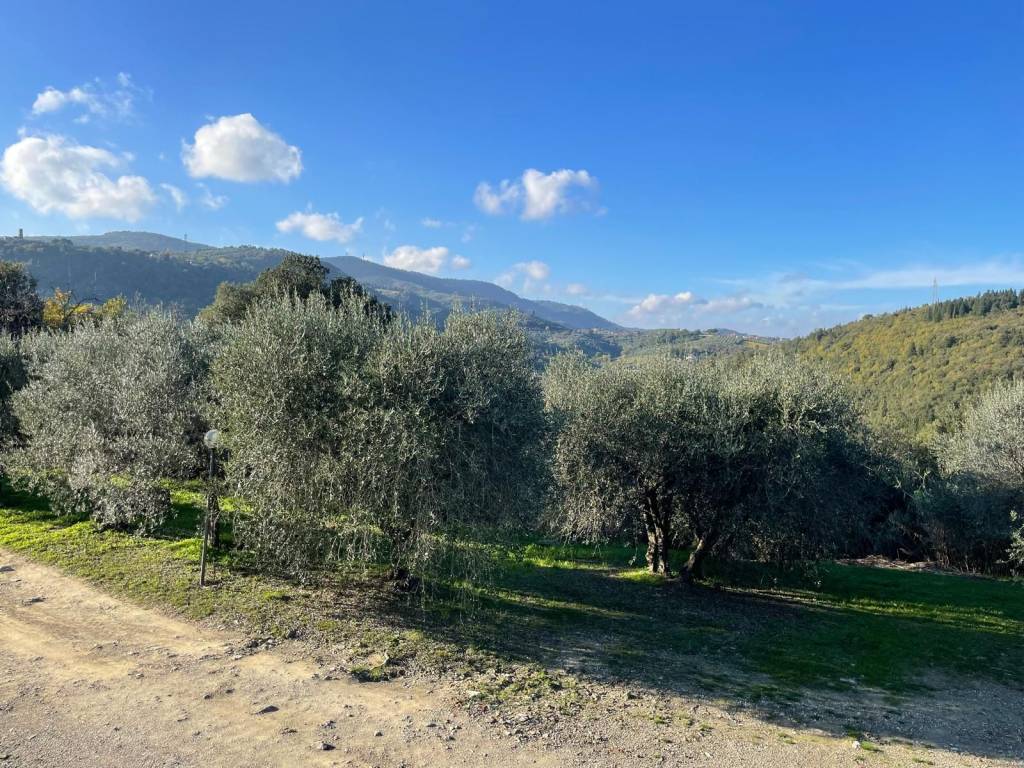 Rustico / casale a Carmignano - Foto 5