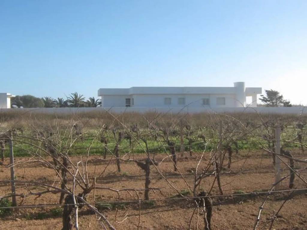 Villa a Petrosino - Foto 4