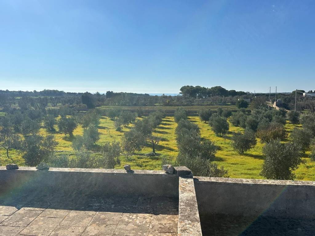 Terreno a Gagliano del capo in Strada Vicinale San Demitro - Foto 2