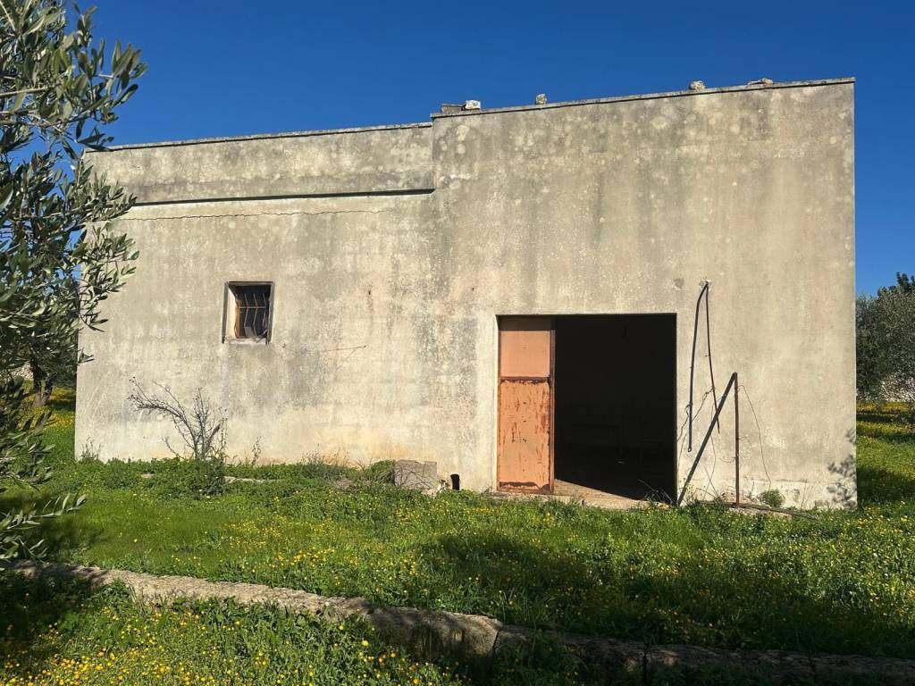 Terreno a Gagliano del capo in Strada Vicinale San Demitro - Foto 3