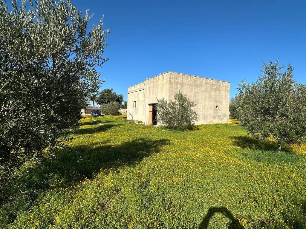 Terreno a Gagliano del capo in Strada Vicinale San Demitro - Foto 4