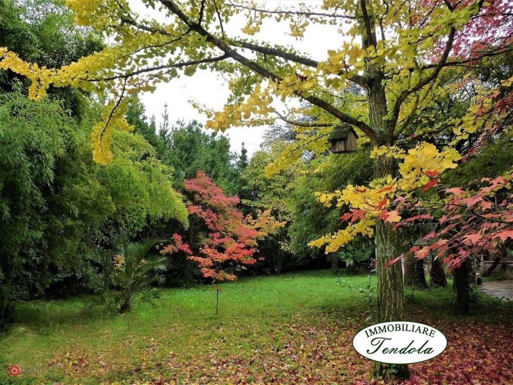 Villa a Sarzana - Foto 3