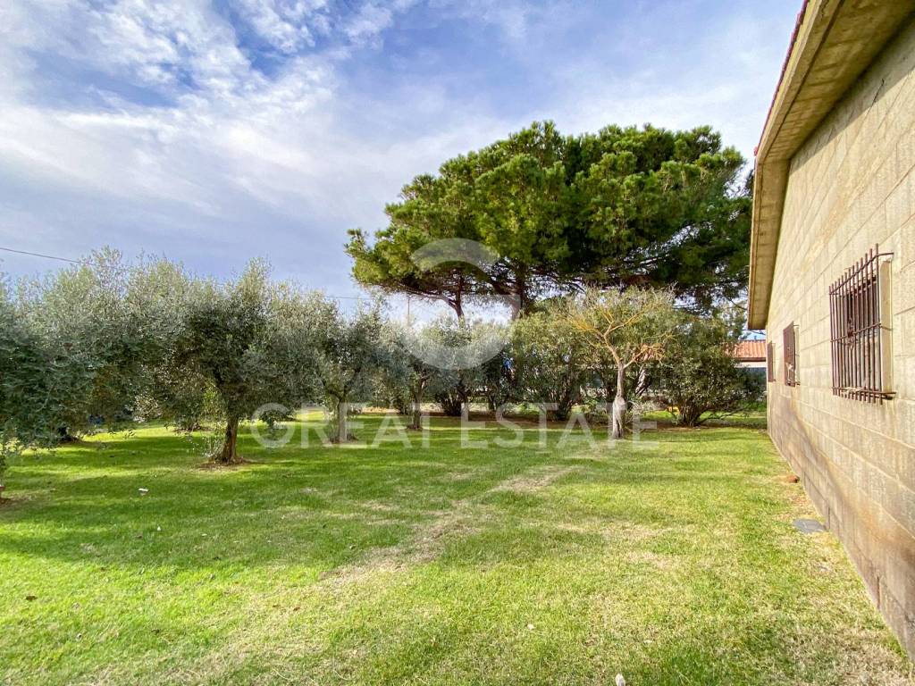 Rustico / casale a Capalbio in Strada Provinciale Litoranea - Foto 4