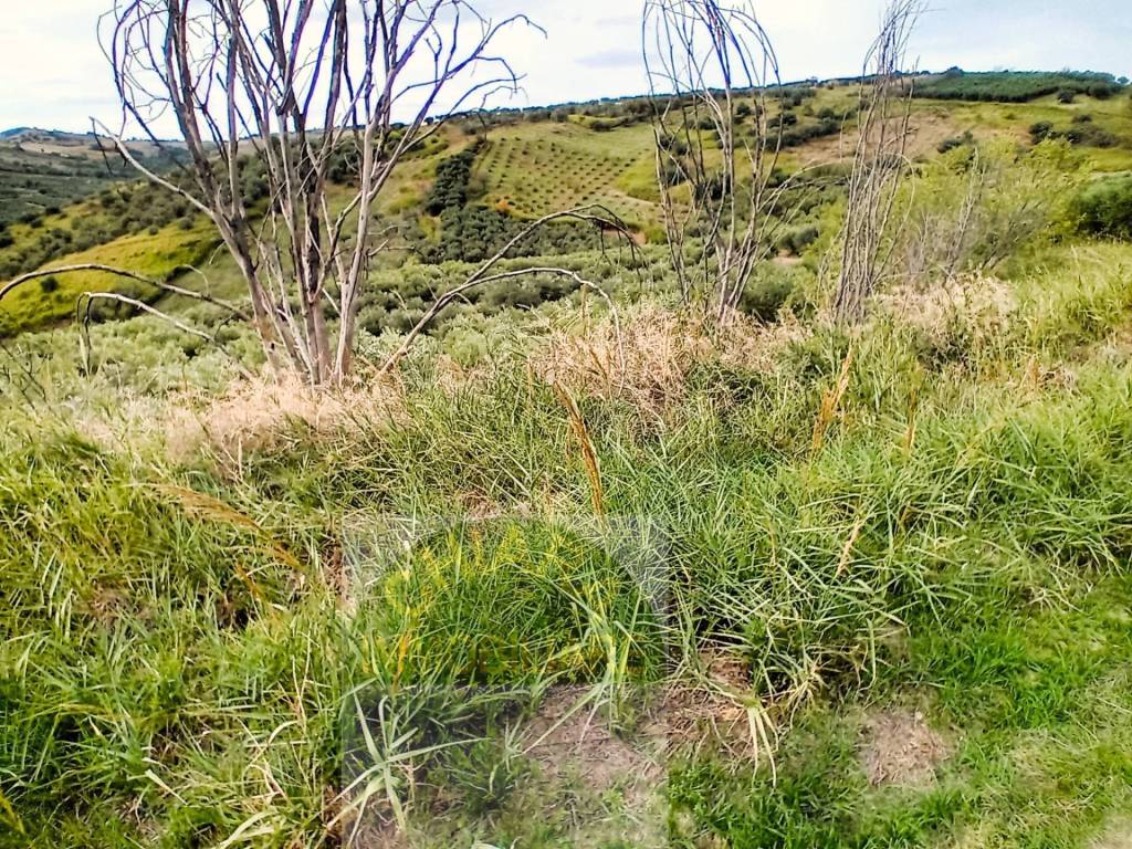 Terreno a Cupello - Foto 2