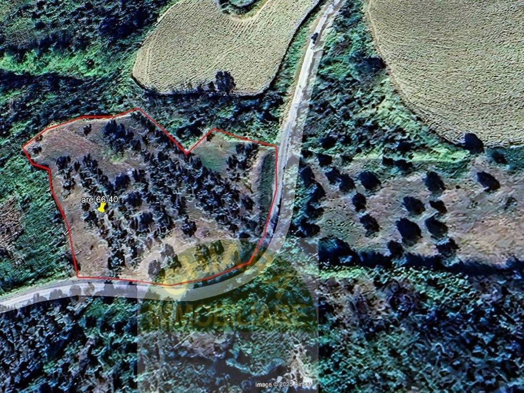 Terreno a Cupello - Foto 4