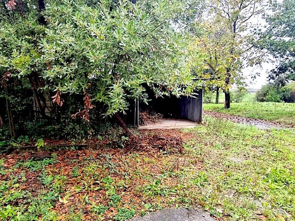 Casa indipendente a Pistoia - Foto 2