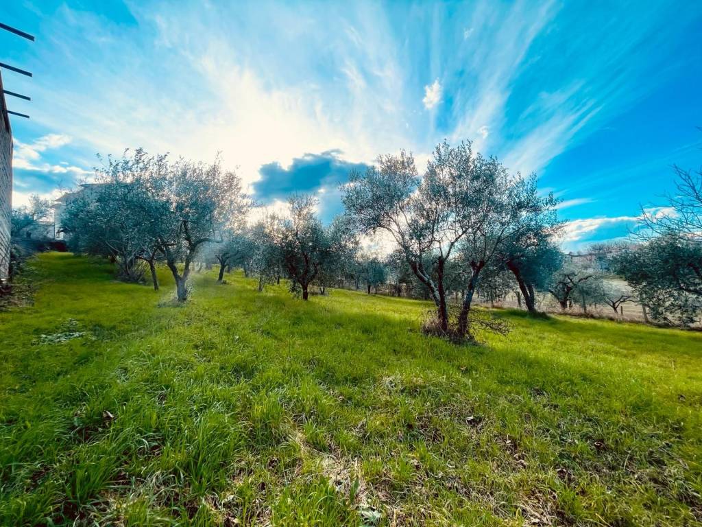 Villa a Poggio nativo in Via Casale dei Colli - Foto 2