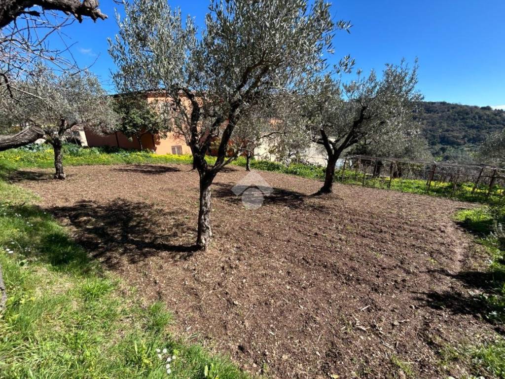 Casa indipendente a Lamezia terme in Contrata Annunziata, 133 - Foto 2