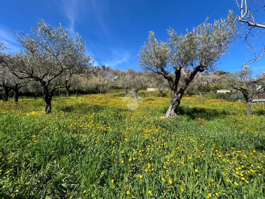 Casa indipendente a Lamezia terme in Contrata Annunziata, 133 - Foto 3