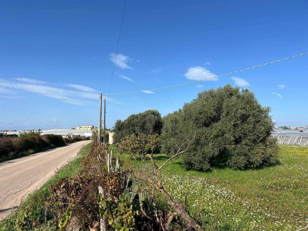 Terreno a Pachino in C.da Maucini - Foto 3