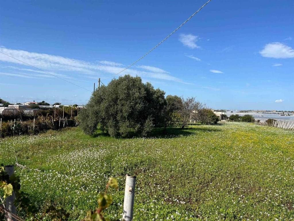 Terreno a Pachino in C.da Maucini - Foto 4