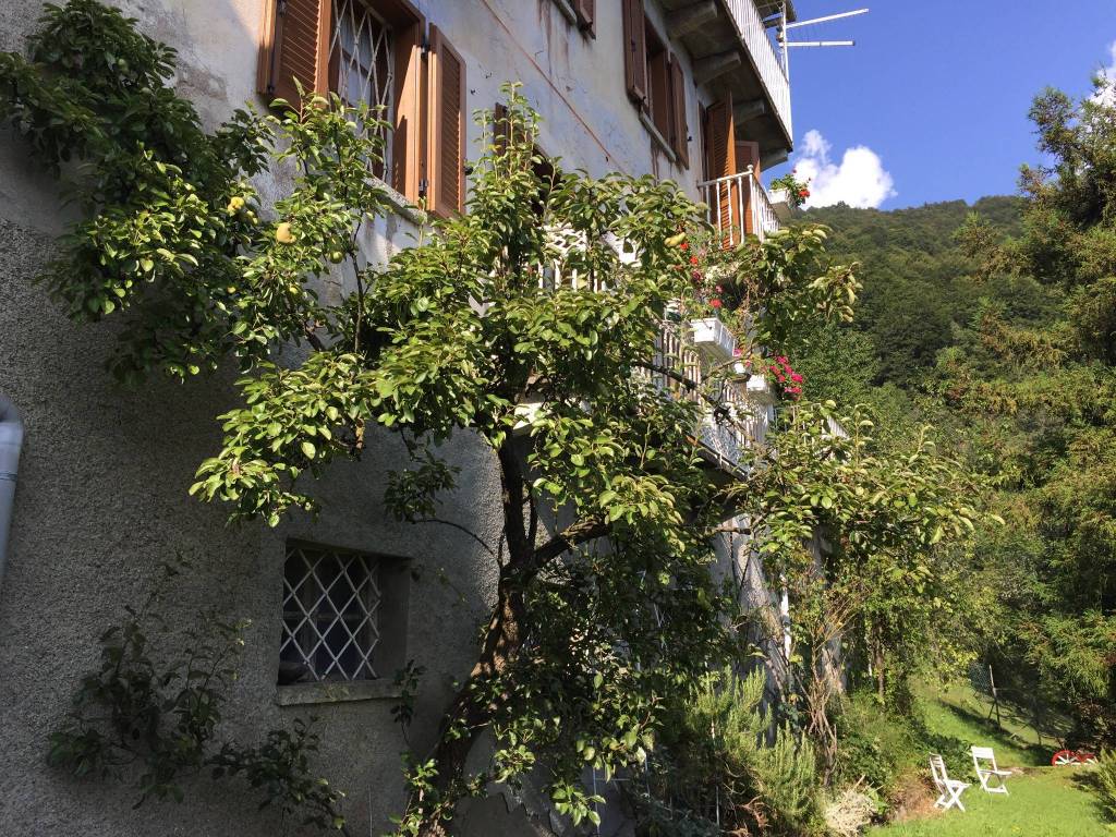 Villa a Fobello in Frazione Costa - Foto 3