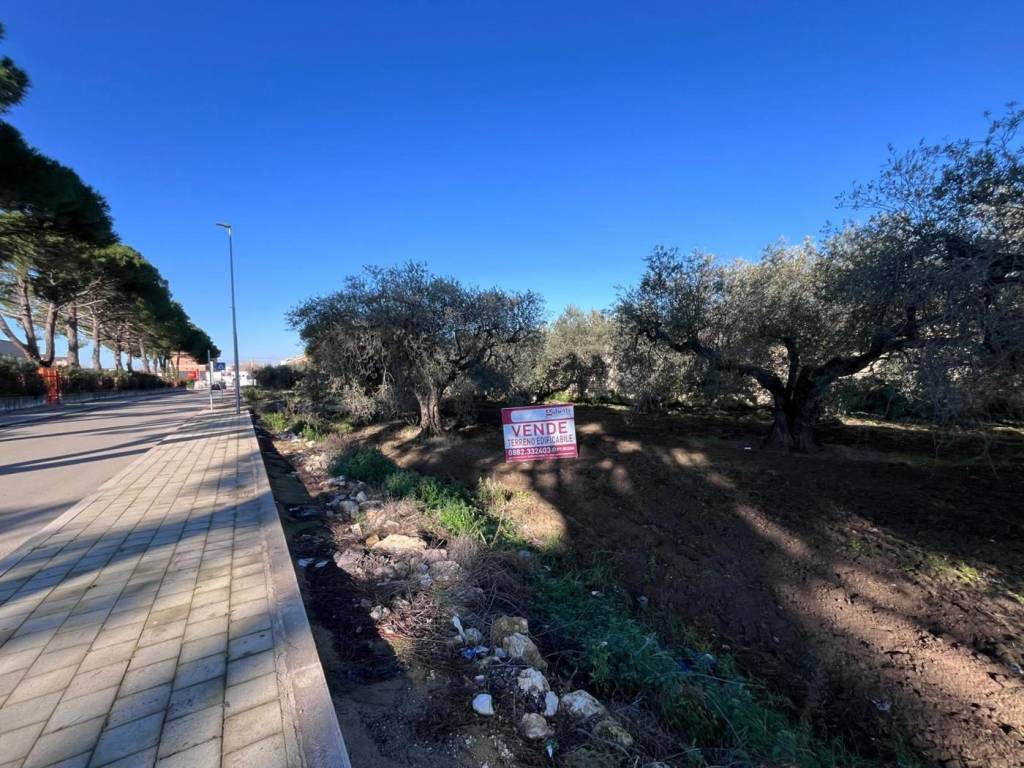 Terreno a San severo in VIA LITTERO - Foto 2