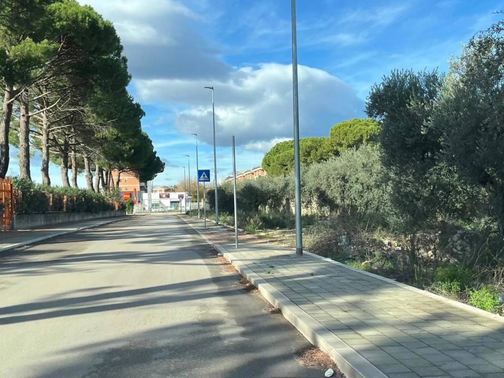 Terreno a San severo in VIA LITTERO - Foto 4
