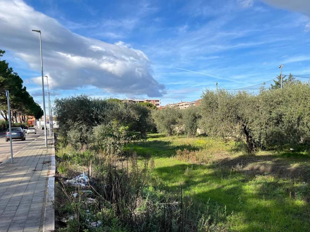 Terreno a San severo in VIA LITTERO - Foto 5