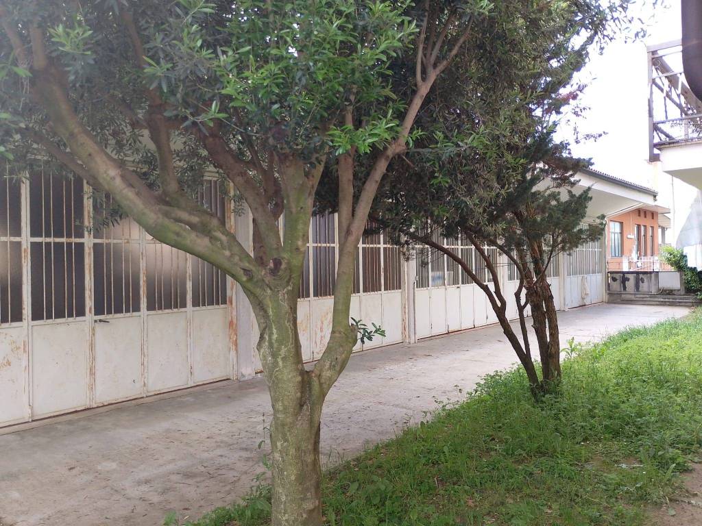 Appartamento a Ciriè in Via Banna, 18 - Foto 3
