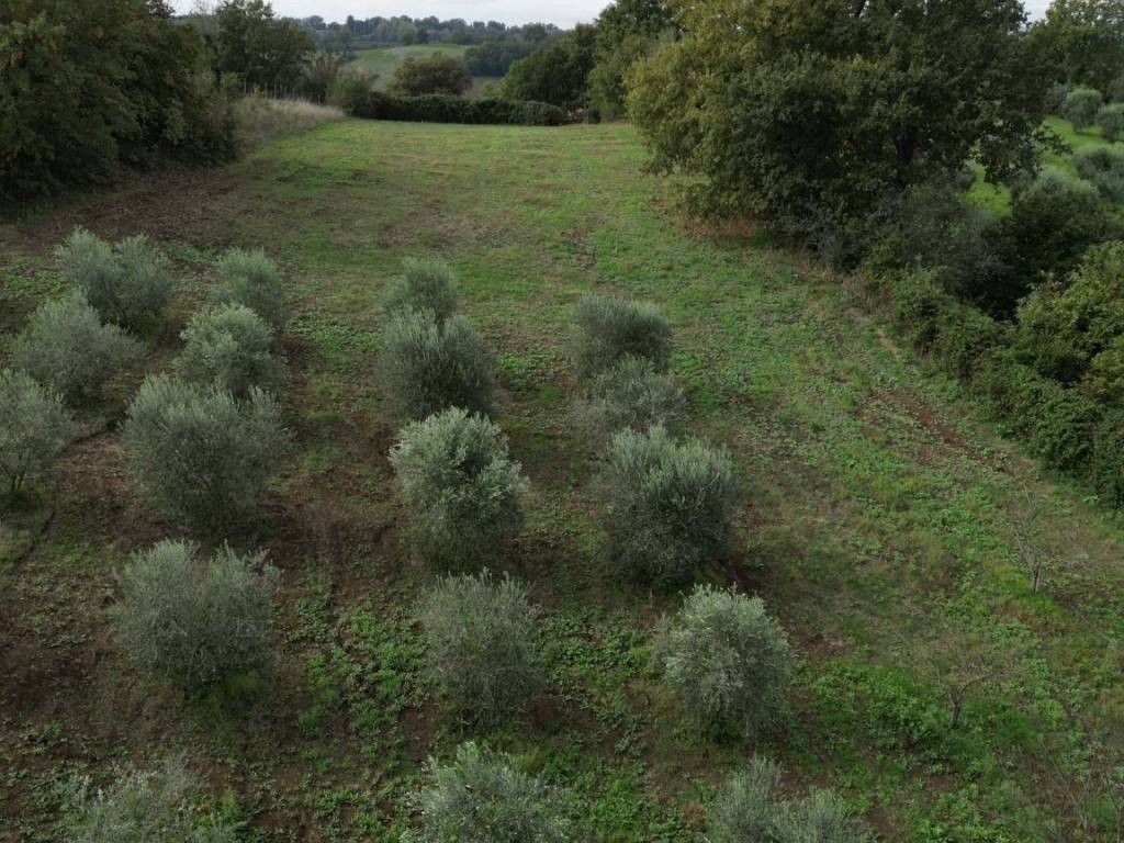Casa indipendente a Civitella san paolo in Via Provinciale Civitellese, 4 - Foto 4