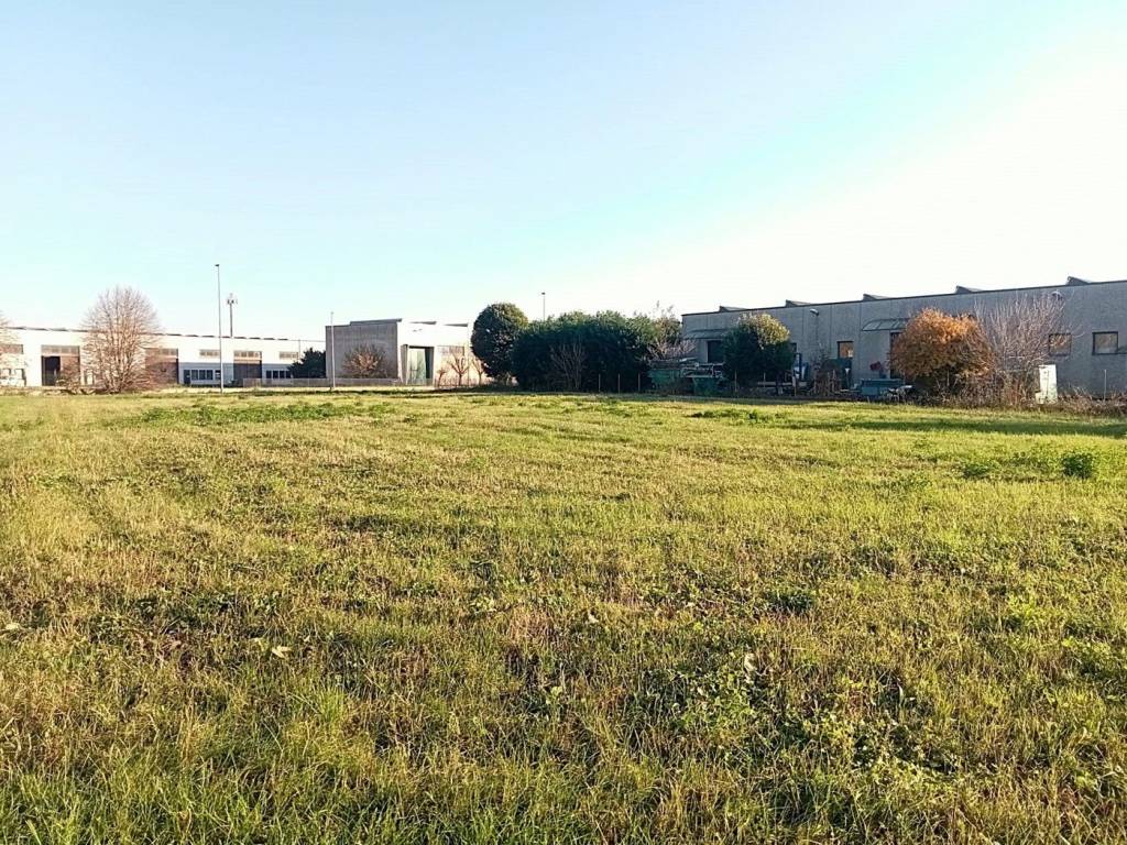 Terreno a Borgo veneto in VIA ROMA, 250 - Foto 5