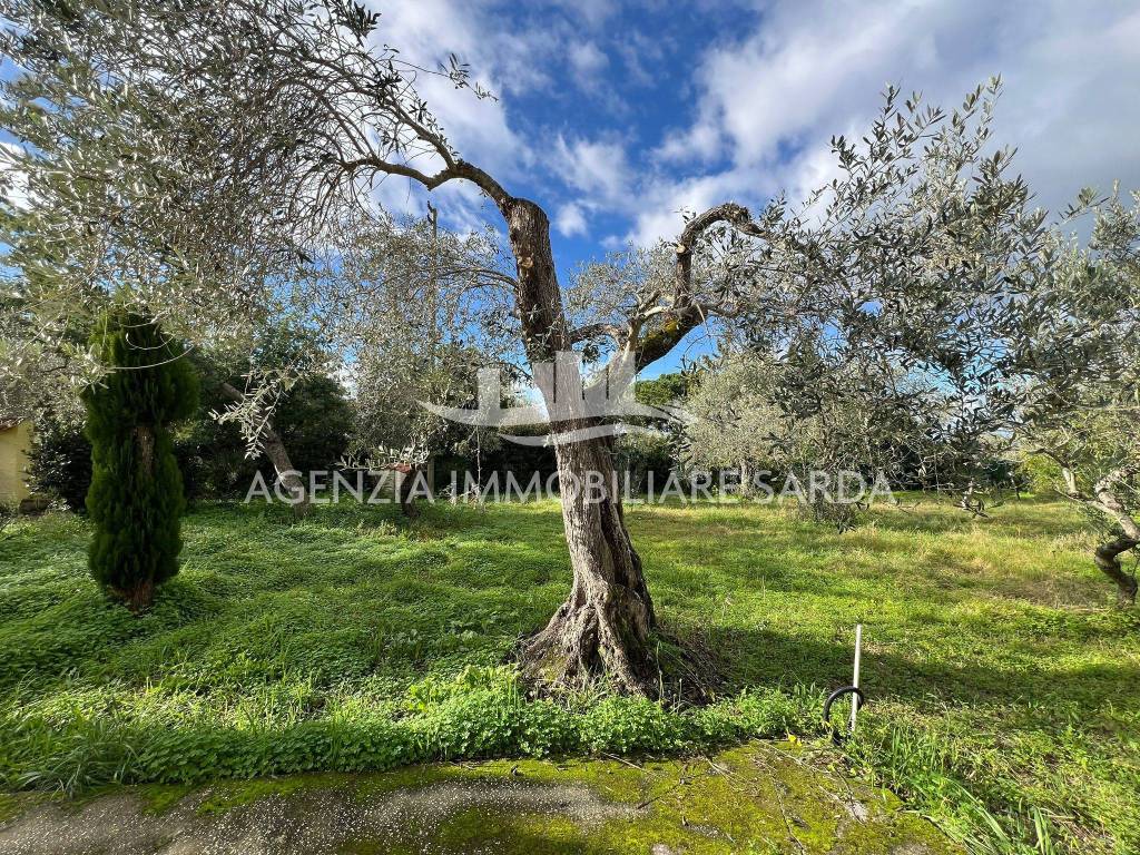 Villa a Sorso - Foto 2