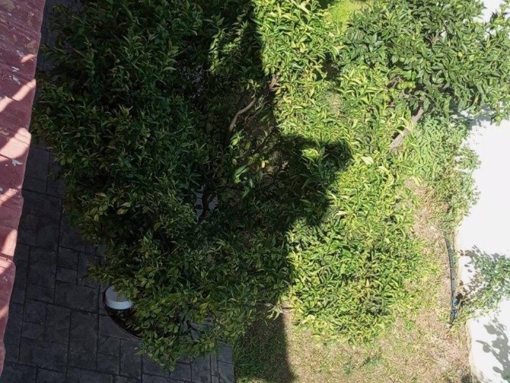 Villa a Ardea in Via Rimini - Foto 2