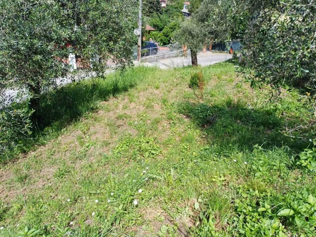 Terreno a Lerici - Foto 2