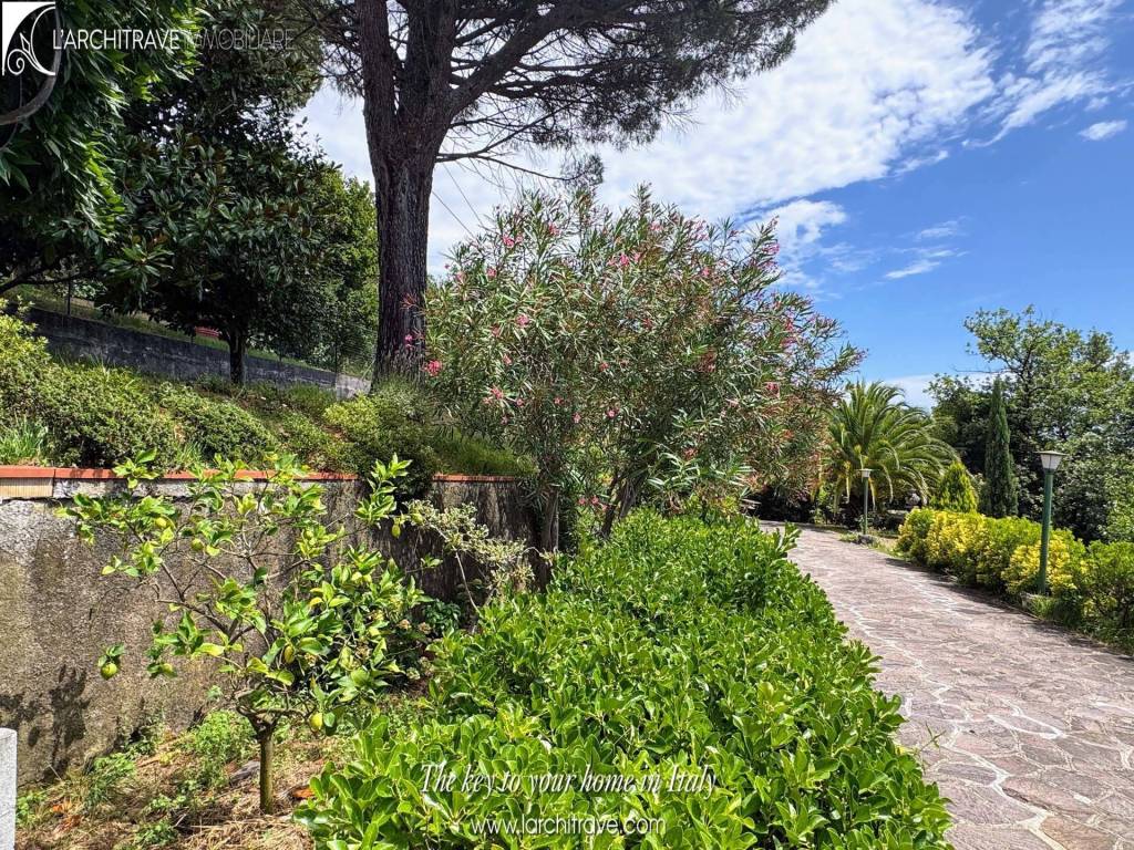 Villa a Santo stefano di magra - Foto 2