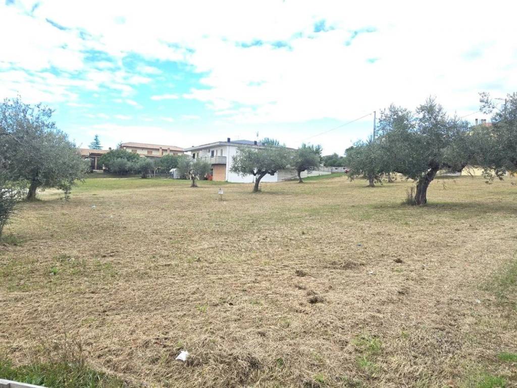 Terreno a Collecorvino - Foto 4