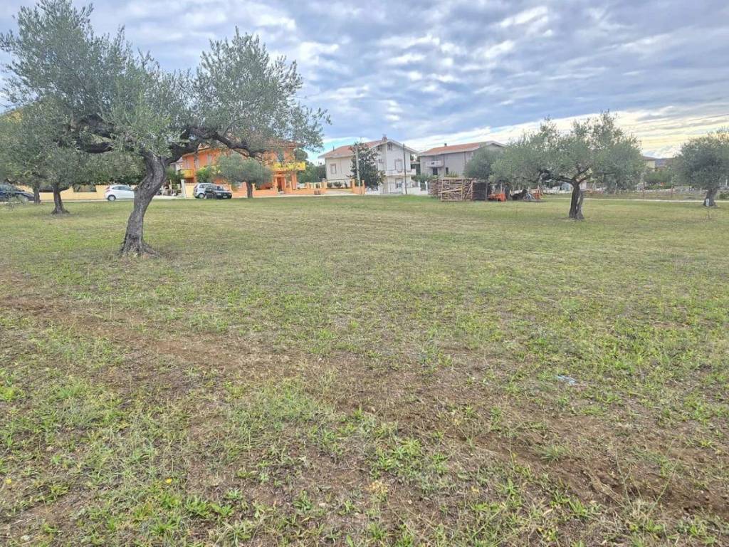 Terreno a Collecorvino - Foto 2