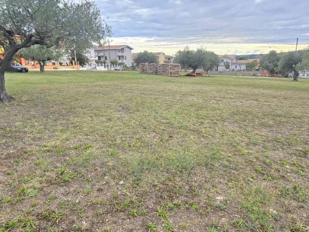 Terreno a Collecorvino - Foto 4