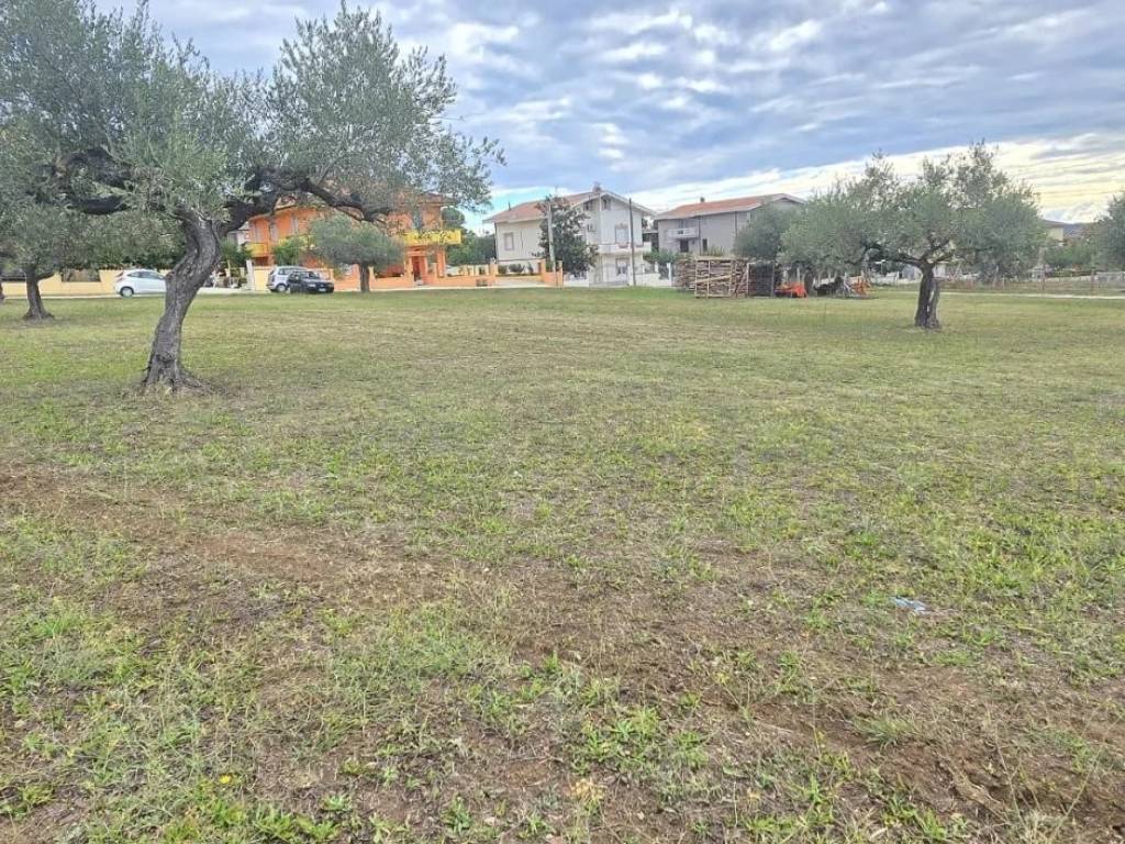 Terreno a Collecorvino - Foto 5