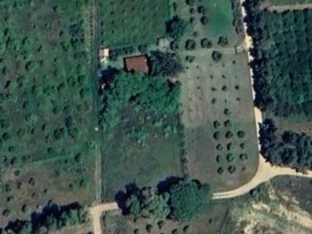 Terreno a Torpè - Foto 2