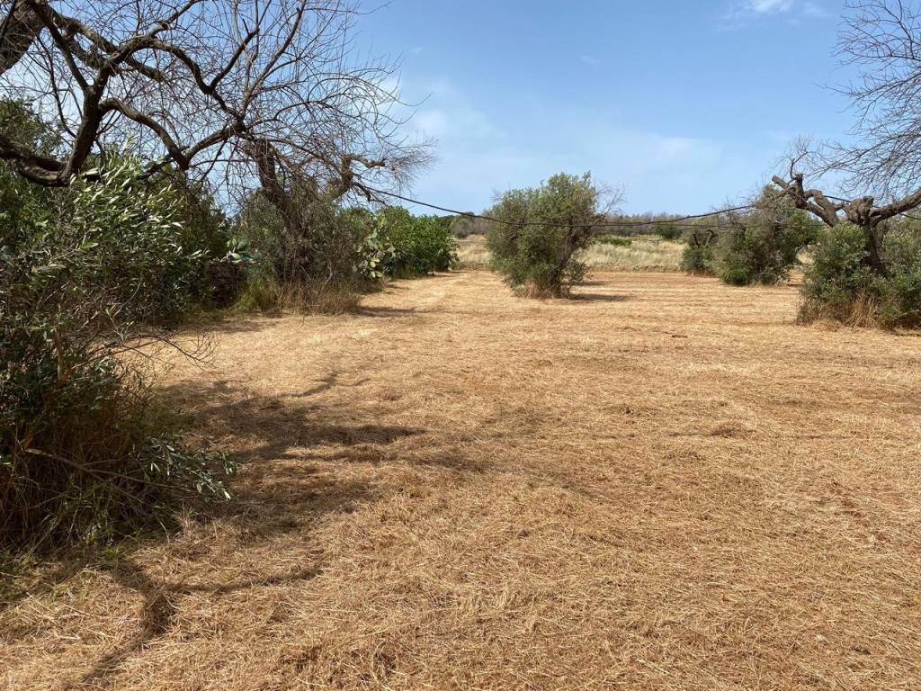 Terreno a Ugento in SP332 - Foto 4