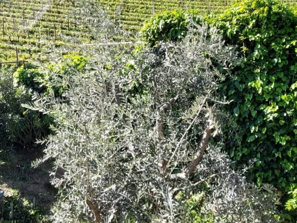Villetta a schiera a Cortaccia sulla strada del vino in Via Sulla Strada del Vino - Foto 4