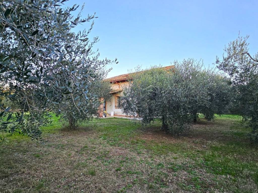 Rustico / casale a Vignanello in Località Centignano - Foto 5