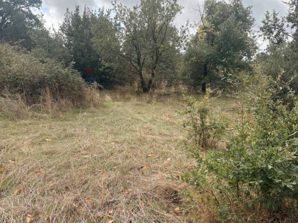 Rustico / casale a Belpasso in Contrada San Leo - Foto 4