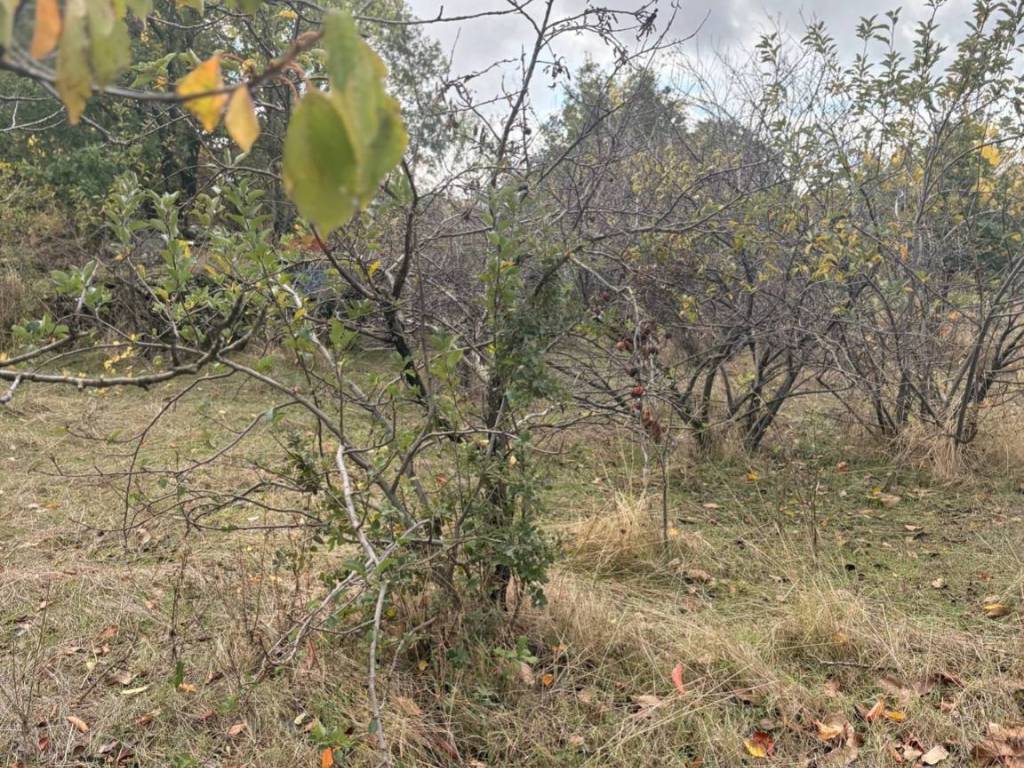 Rustico / casale a Belpasso in Contrada San Leo - Foto 5