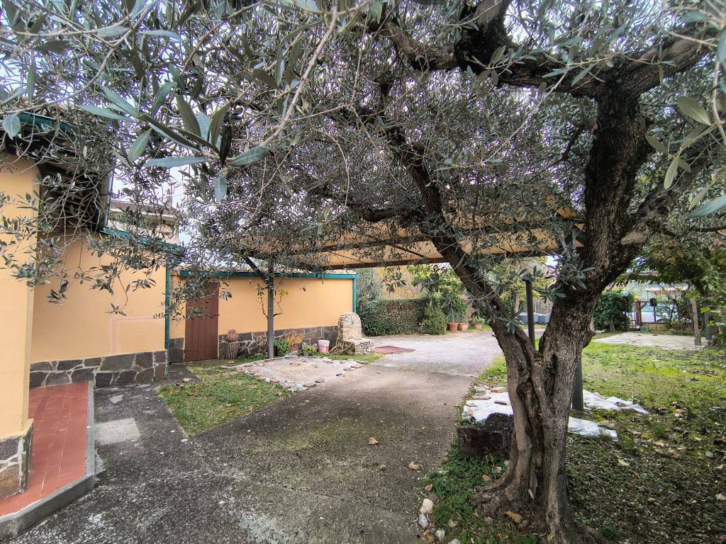 Villa a Montefalco in Pietrauta - Foto 3