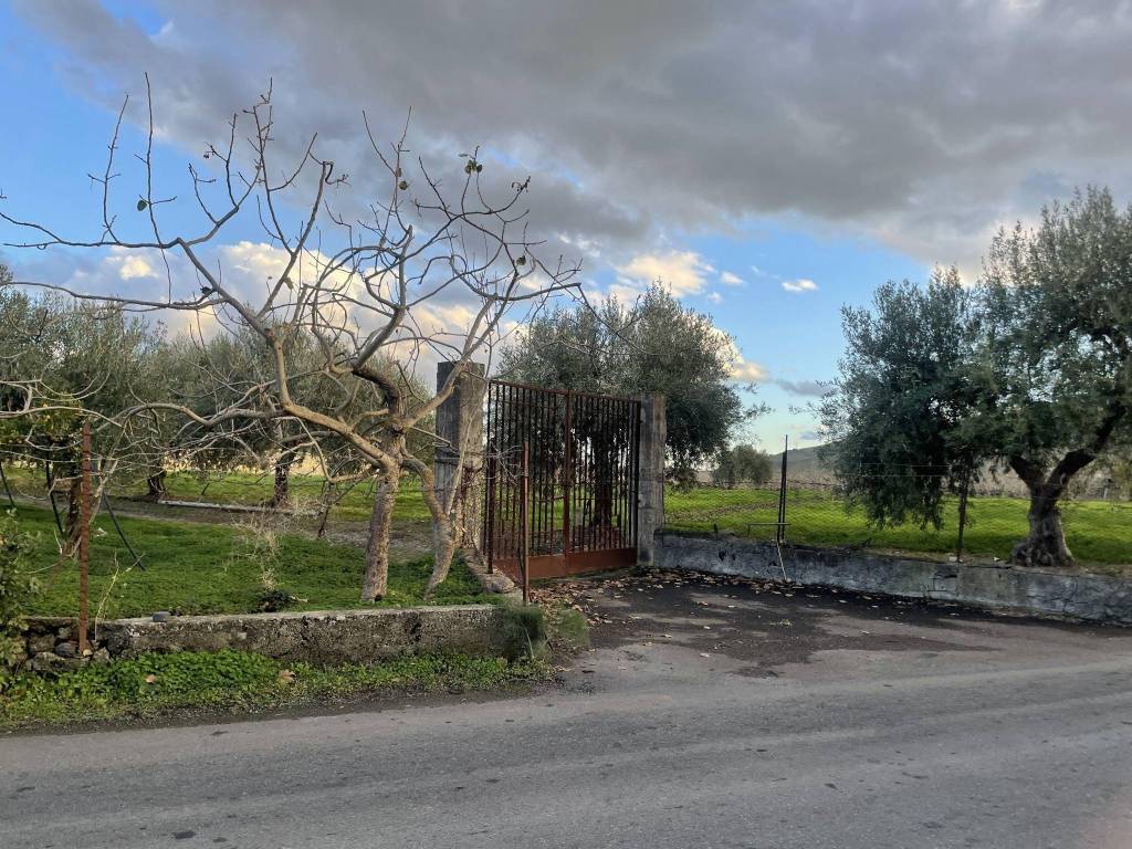 Terreno a Bronte in Contrada Barbaro - Foto 3