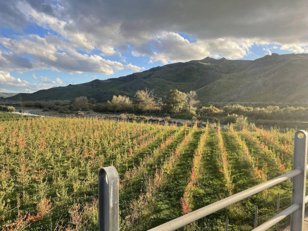 Terreno a Bronte in Contrada Barbaro - Foto 3