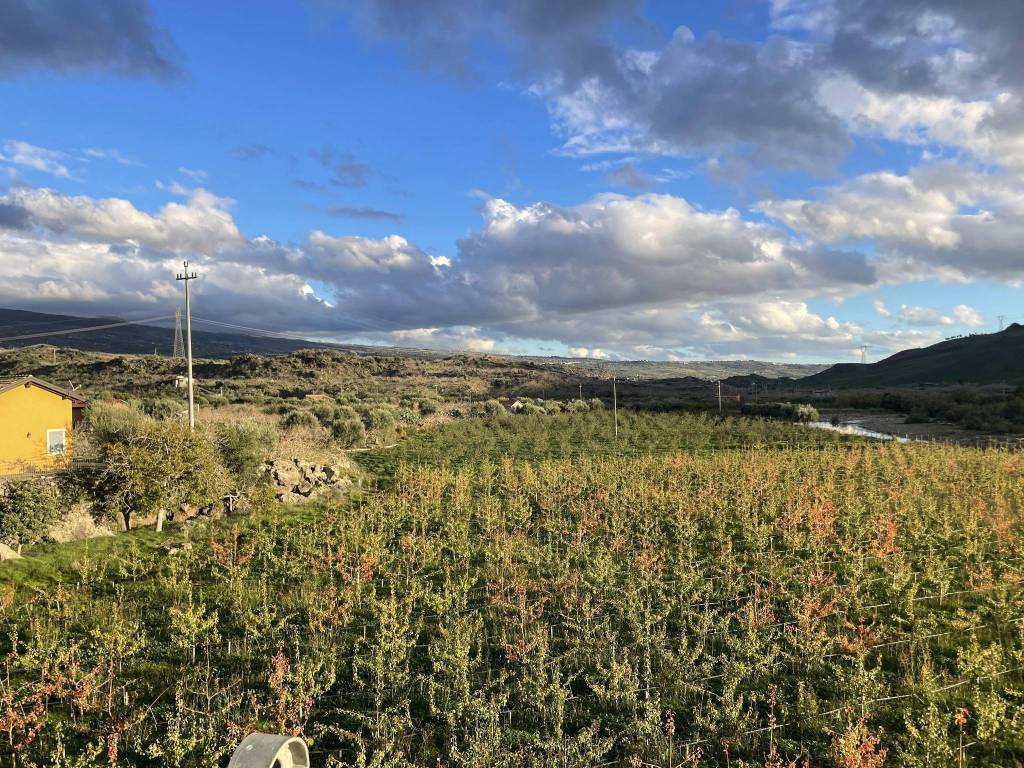 Terreno a Bronte in Contrada Barbaro - Foto 4