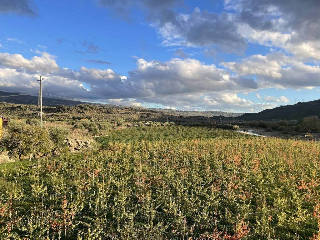 Terreno a Bronte in Contrada Barbaro - Foto 5
