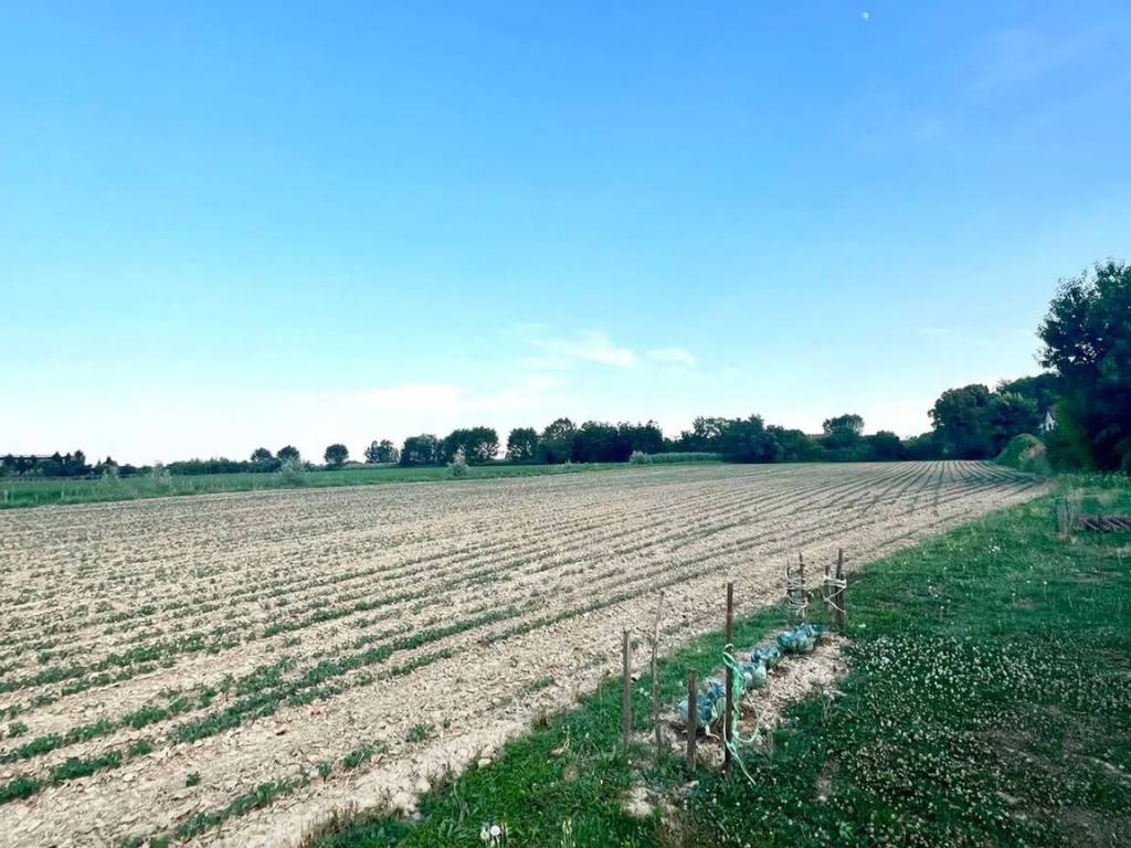 Terreno a Campodoro in Via Vecchia - Foto 5